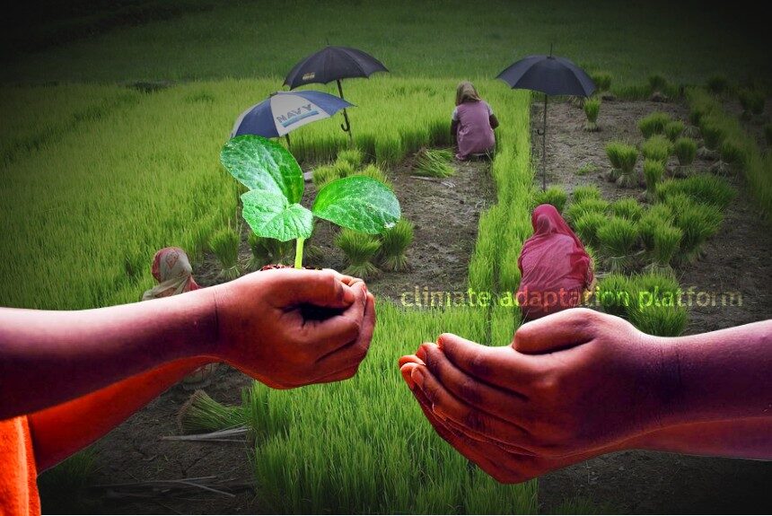 Climate Change Adaptation